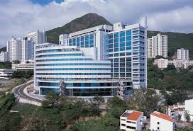 Li Ka Shing Faculty of Medicine, The University of Hong Kong